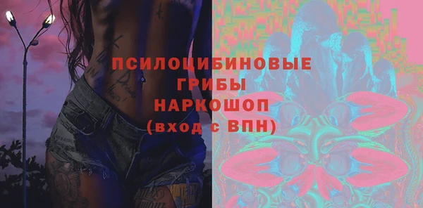 ECSTASY Алзамай