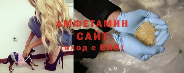 ECSTASY Алзамай