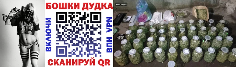 Шишки марихуана планчик Чкаловск